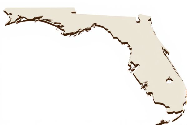 Florida Random Address Generator: How to Create Realistic Fake Addresses