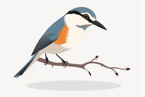 How to Create a Random Bracket Generator for Round Robin Tournaments