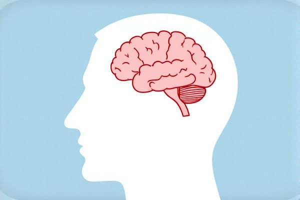 Random Fact Generator: Surprising Insights from Psychology